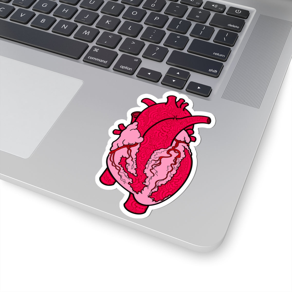 Anatomical Heart Sticker - Perfect for Medical/Nursing Enthusiasts and Art Lovers