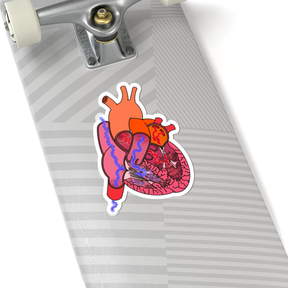 Heart Blood Flow Sticker - Detailed Cardiac Anatomy Portraying Flow Of Venous/Arterial Blood