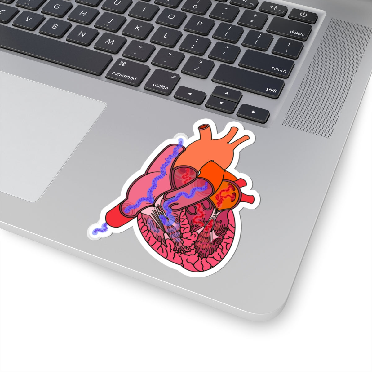 Heart Blood Flow Sticker