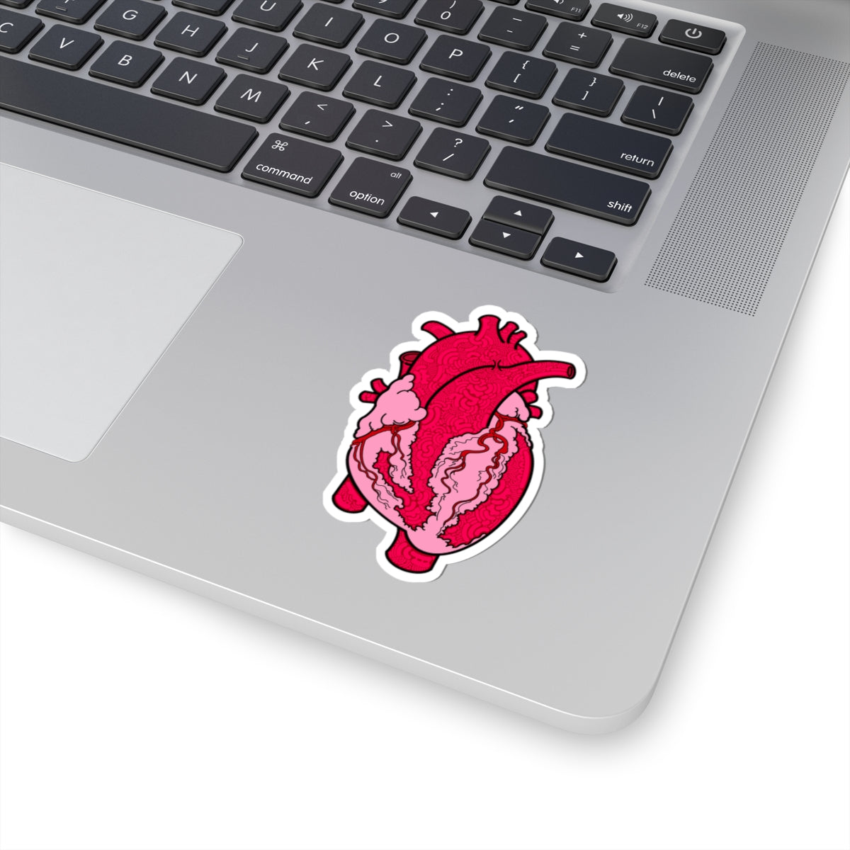 Anatomical Heart Sticker - Perfect for Medical/Nursing Enthusiasts and Art Lovers