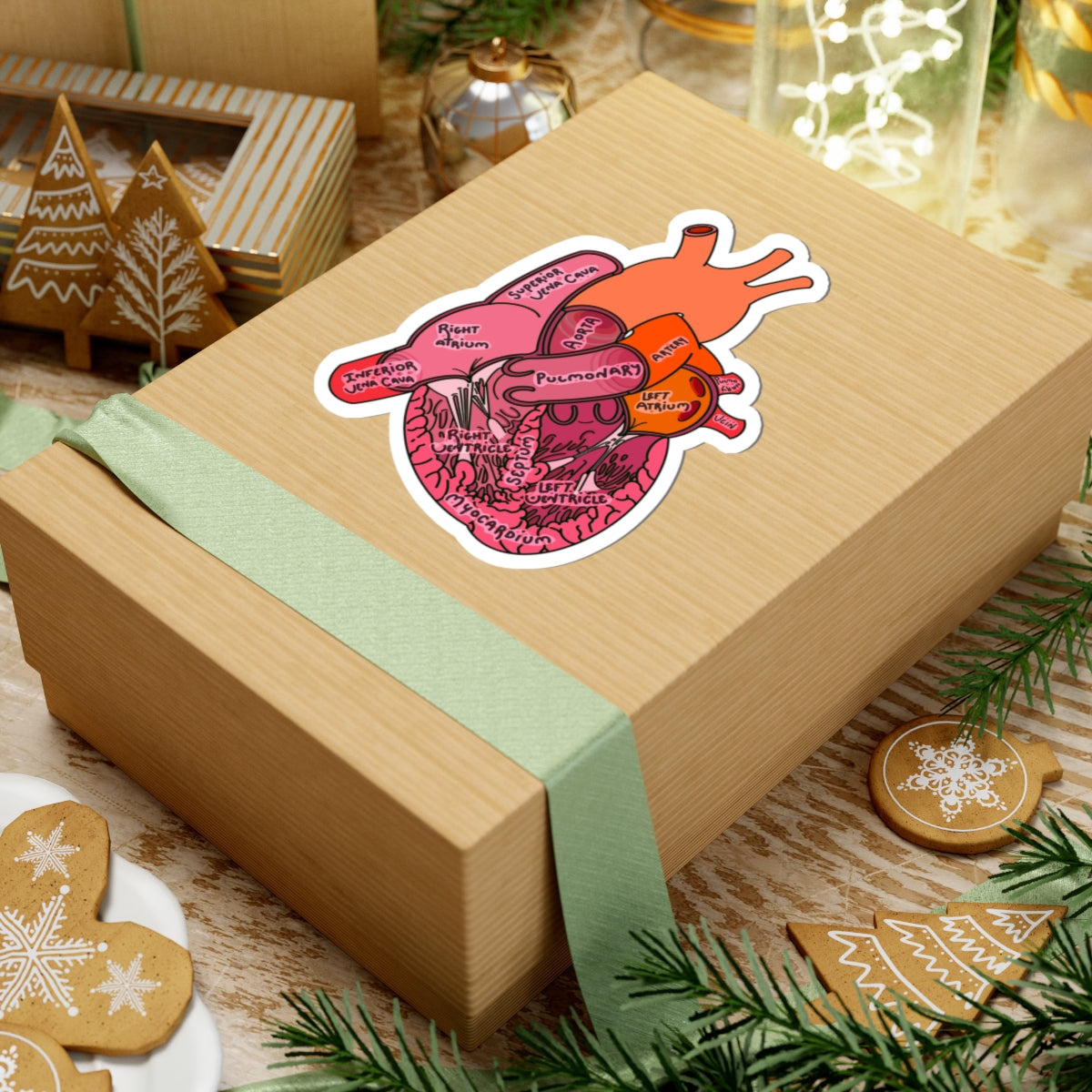 Detailed Anatomical Heart Sticker - Medical Art with Labeled Ventricles, Arteries, and Veins