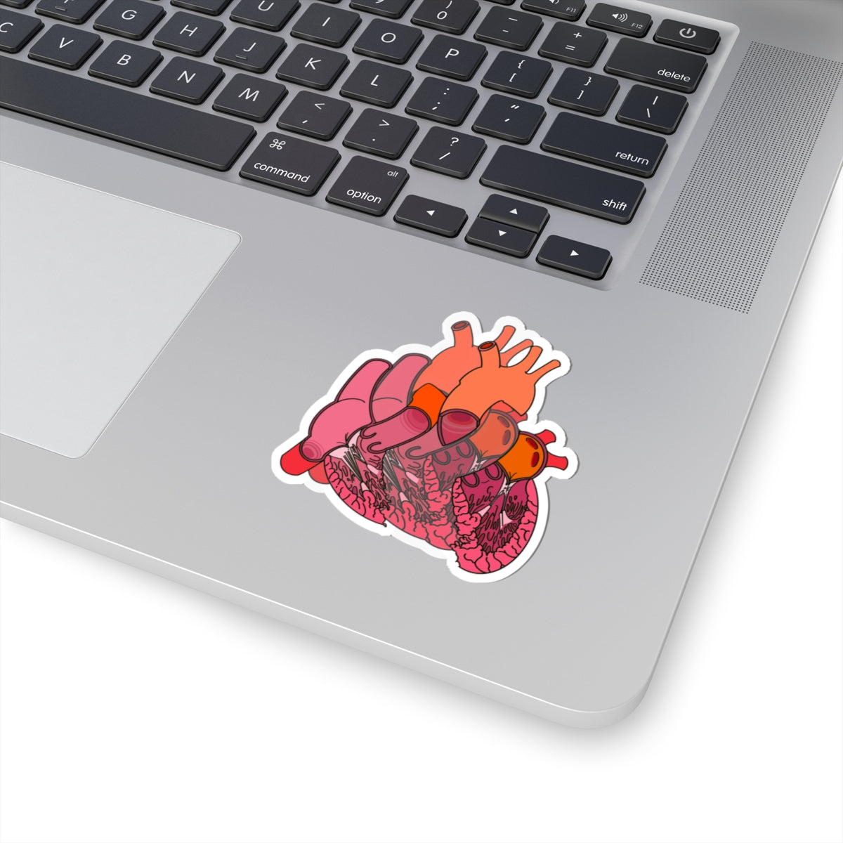 Split Anatomical Heart Sticker - Detailed Left and Right Heart Anatomy