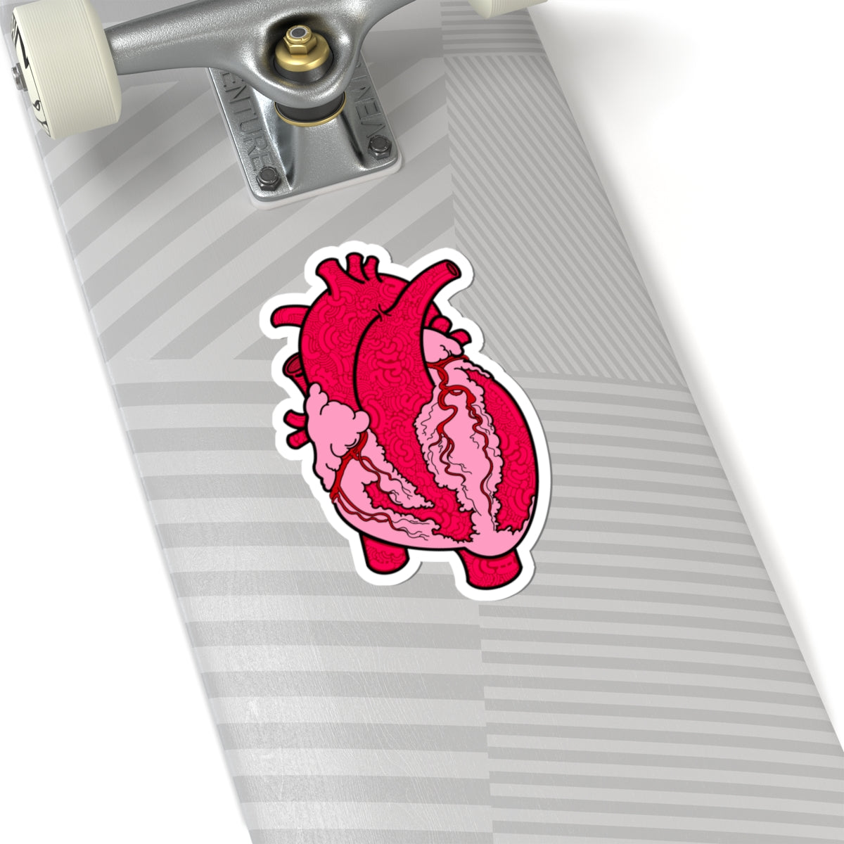 Anatomical Heart Sticker - Perfect for Medical/Nursing Enthusiasts and Art Lovers