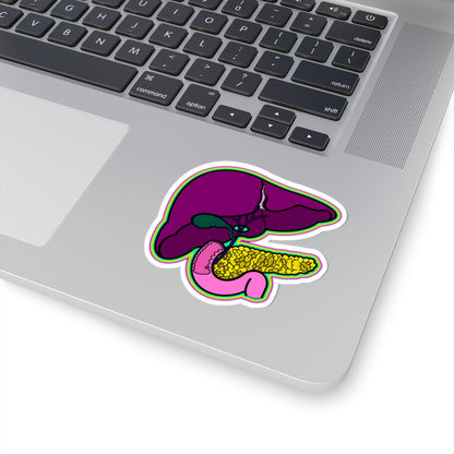 GI System Sticker, Liver, Pancreas, Gallbladder & Intestines