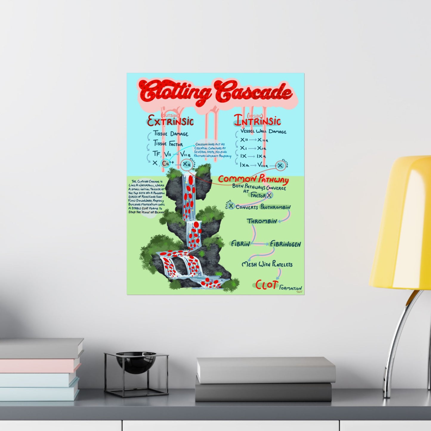Clotting Cascade Educational Poster