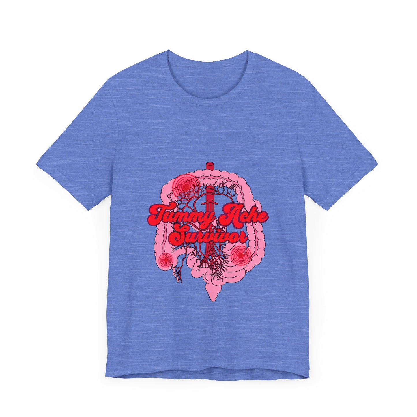 Tummy Ache Survivor Shirt, Funny Gut Health, Digestive System, GI Nurse, Stomach Pain Humor, Medical, IBS, Healthcare Gift Tee