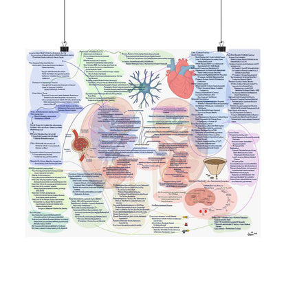 Illustrative Concept Map on End Stage Renal Disease and Chronic Kidney Disease