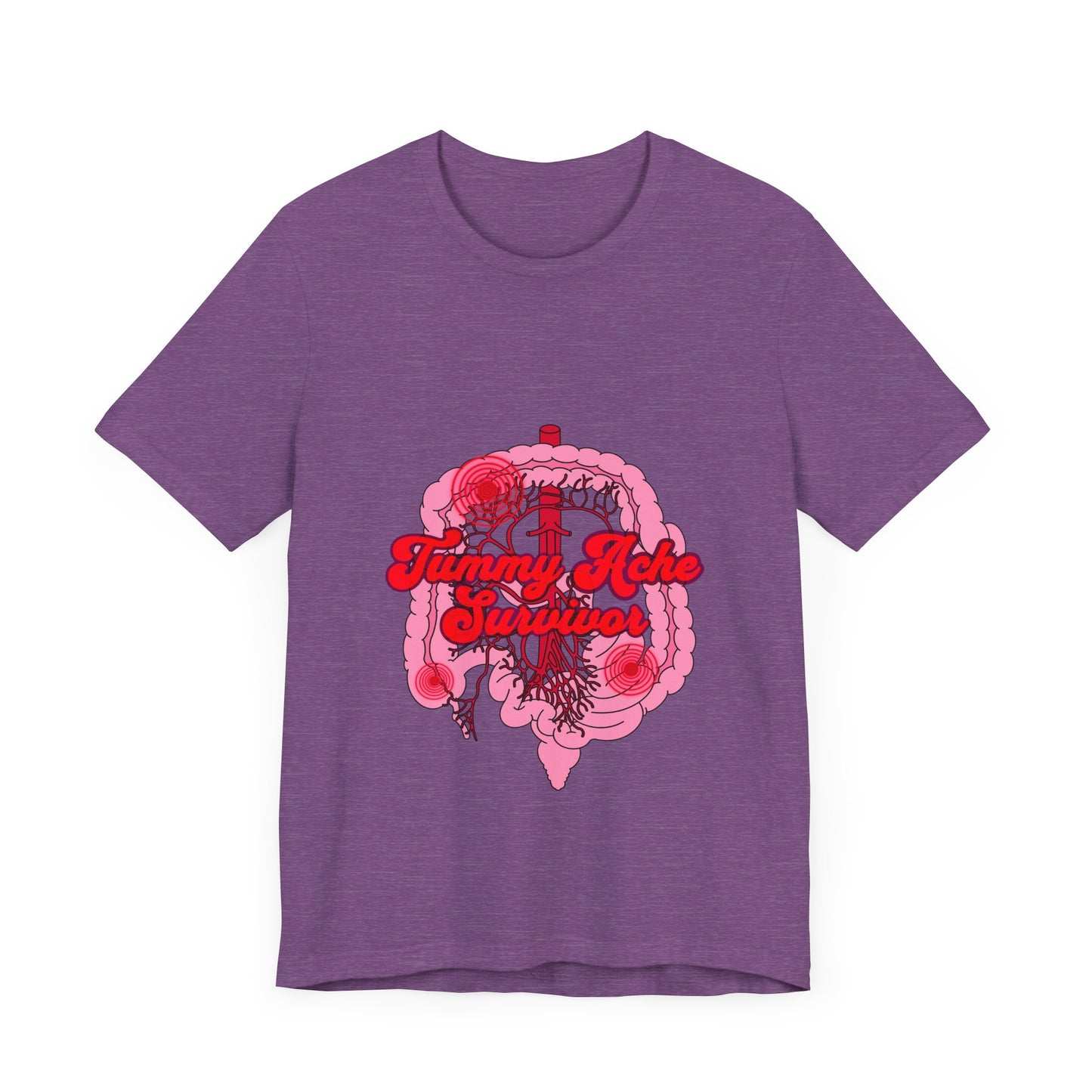 Tummy Ache Survivor Shirt, Funny Gut Health, Digestive System, GI Nurse, Stomach Pain Humor, Medical, IBS, Healthcare Gift Tee