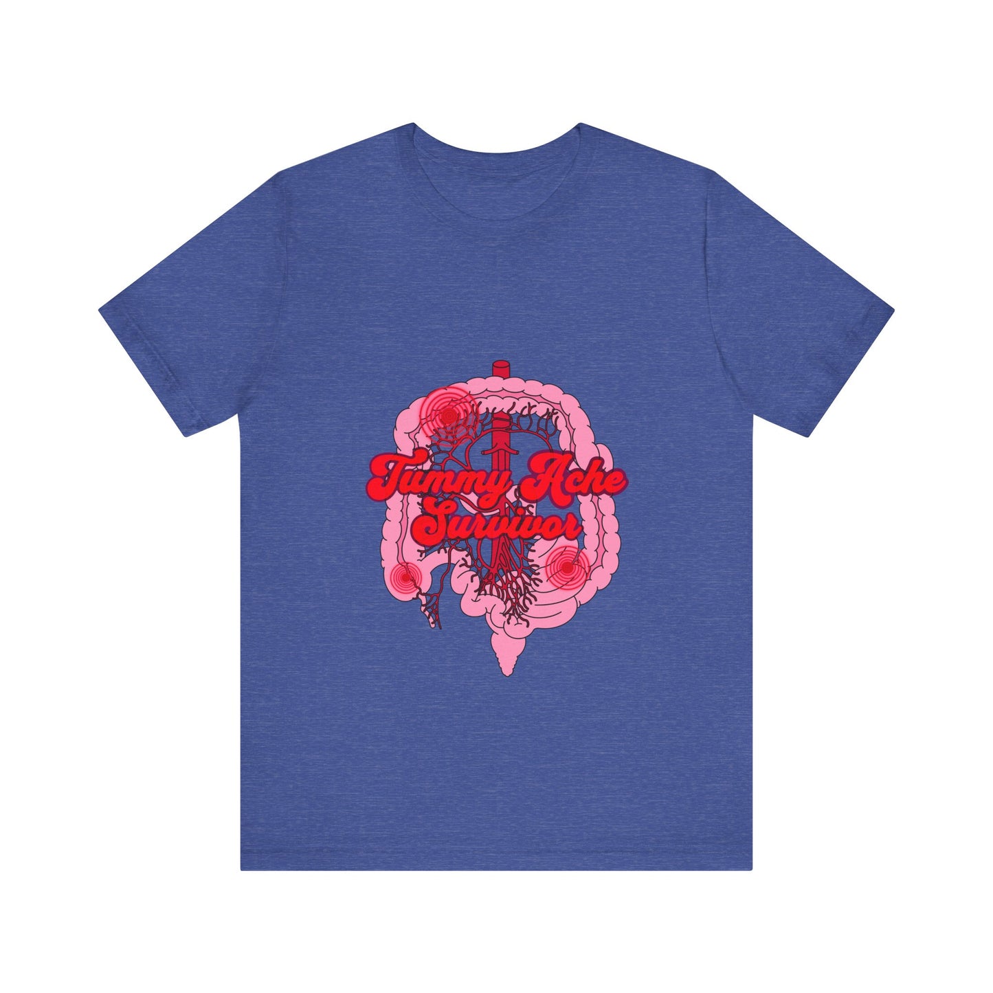 Tummy Ache Survivor Shirt, Funny Gut Health, Digestive System, GI Nurse, Stomach Pain Humor, Medical, IBS, Healthcare Gift Tee