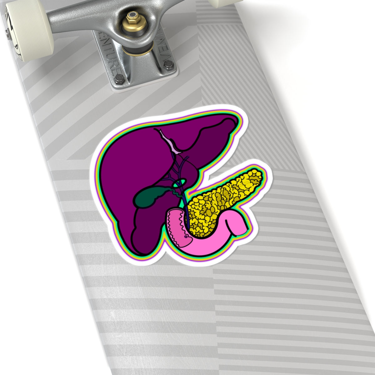 GI System Sticker, Liver, Pancreas, Gallbladder & Intestines