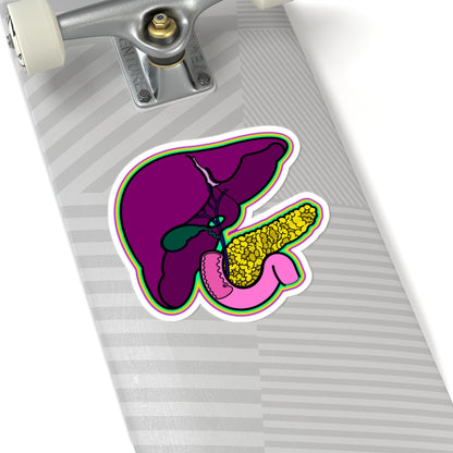 GI System Sticker, Liver, Pancreas, Gallbladder & Intestines