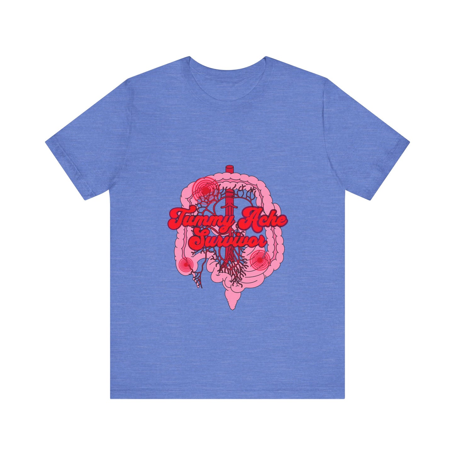 Tummy Ache Survivor Shirt, Funny Gut Health, Digestive System, GI Nurse, Stomach Pain Humor, Medical, IBS, Healthcare Gift Tee