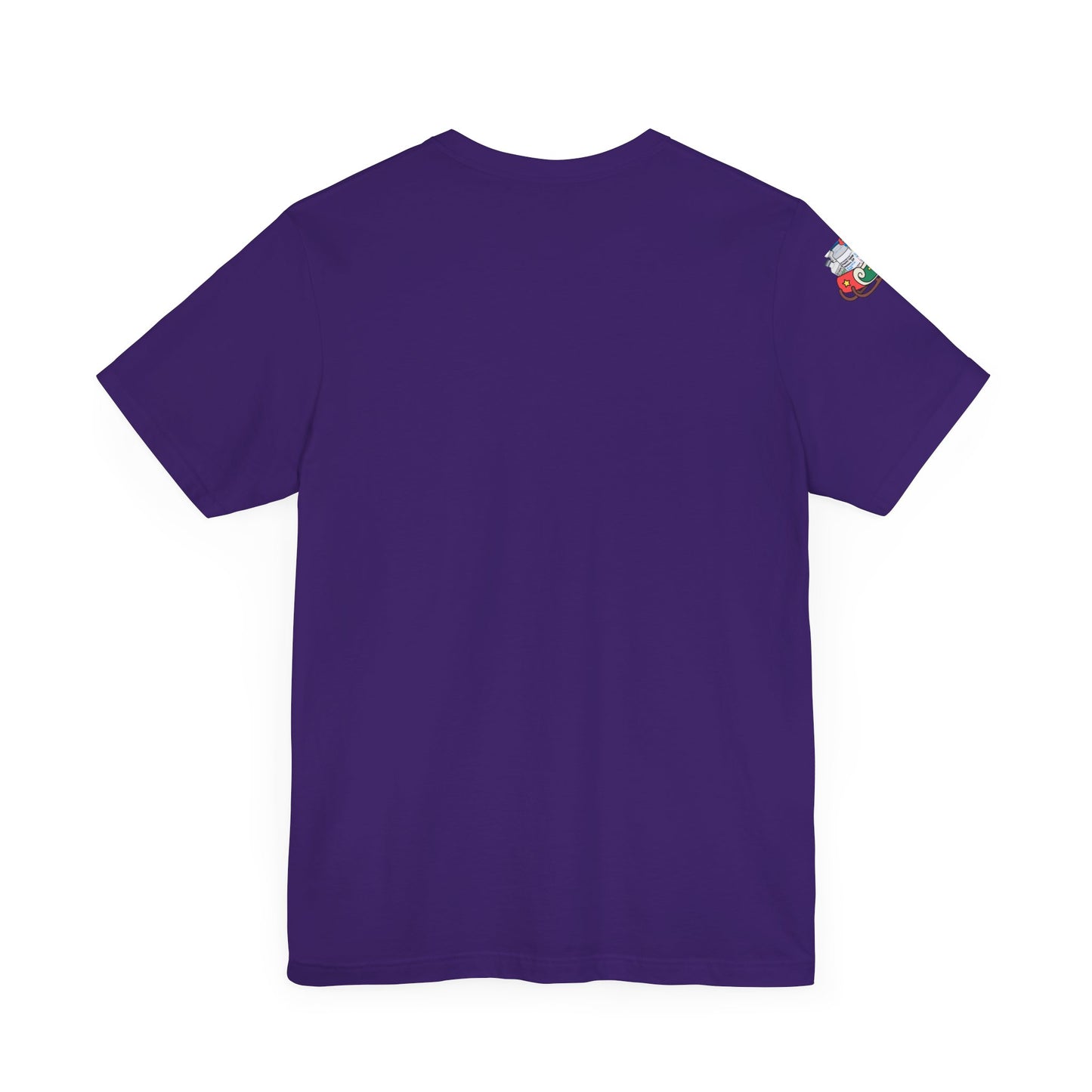 Sedation & Sleigh T-Shirt, Funny Nurse Christmas Shirt, ICU RN Holiday Tee, Propofol, Ativan, Ketamine, Fentanyl, Medical Humor Gift