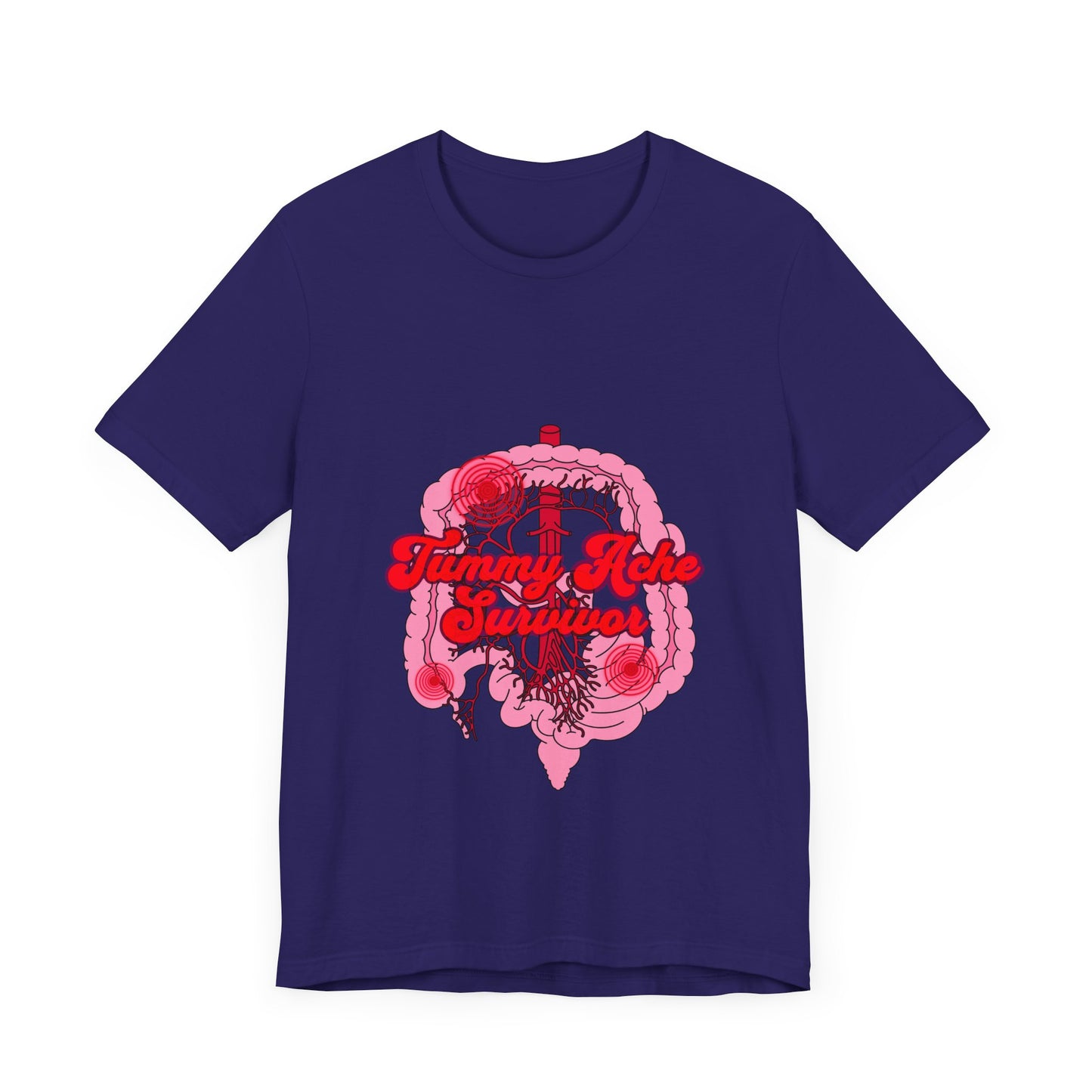 Tummy Ache Survivor Shirt, Funny Gut Health, Digestive System, GI Nurse, Stomach Pain Humor, Medical, IBS, Healthcare Gift Tee