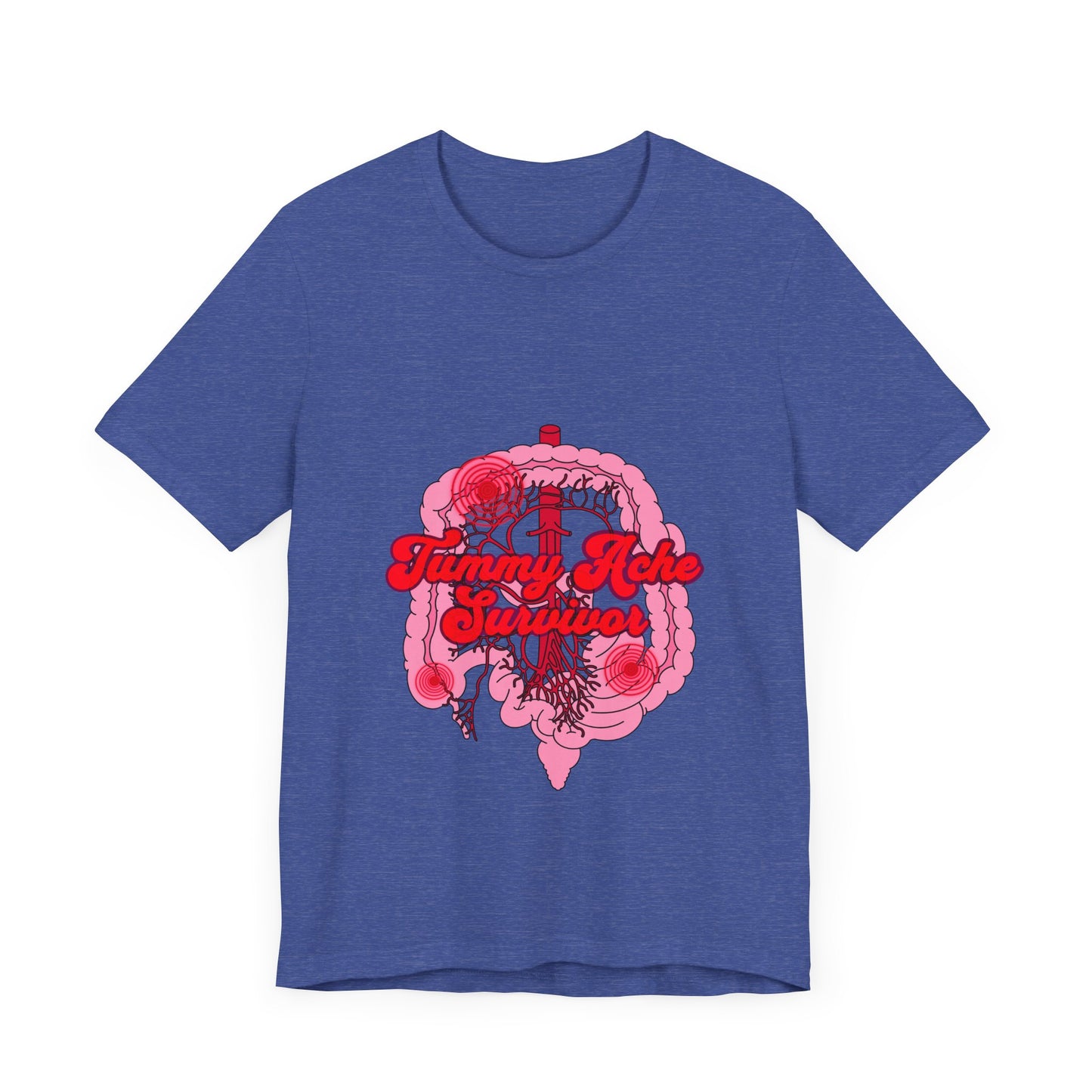 Tummy Ache Survivor Shirt, Funny Gut Health, Digestive System, GI Nurse, Stomach Pain Humor, Medical, IBS, Healthcare Gift Tee