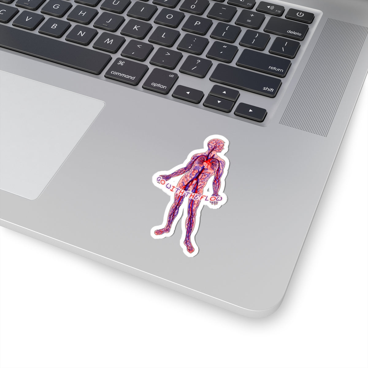 Go With The Flow Sticker - Anatomical Human with Arteries and Veins Design