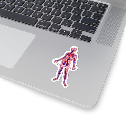 Go With The Flow Sticker - Anatomical Human with Arteries and Veins Design