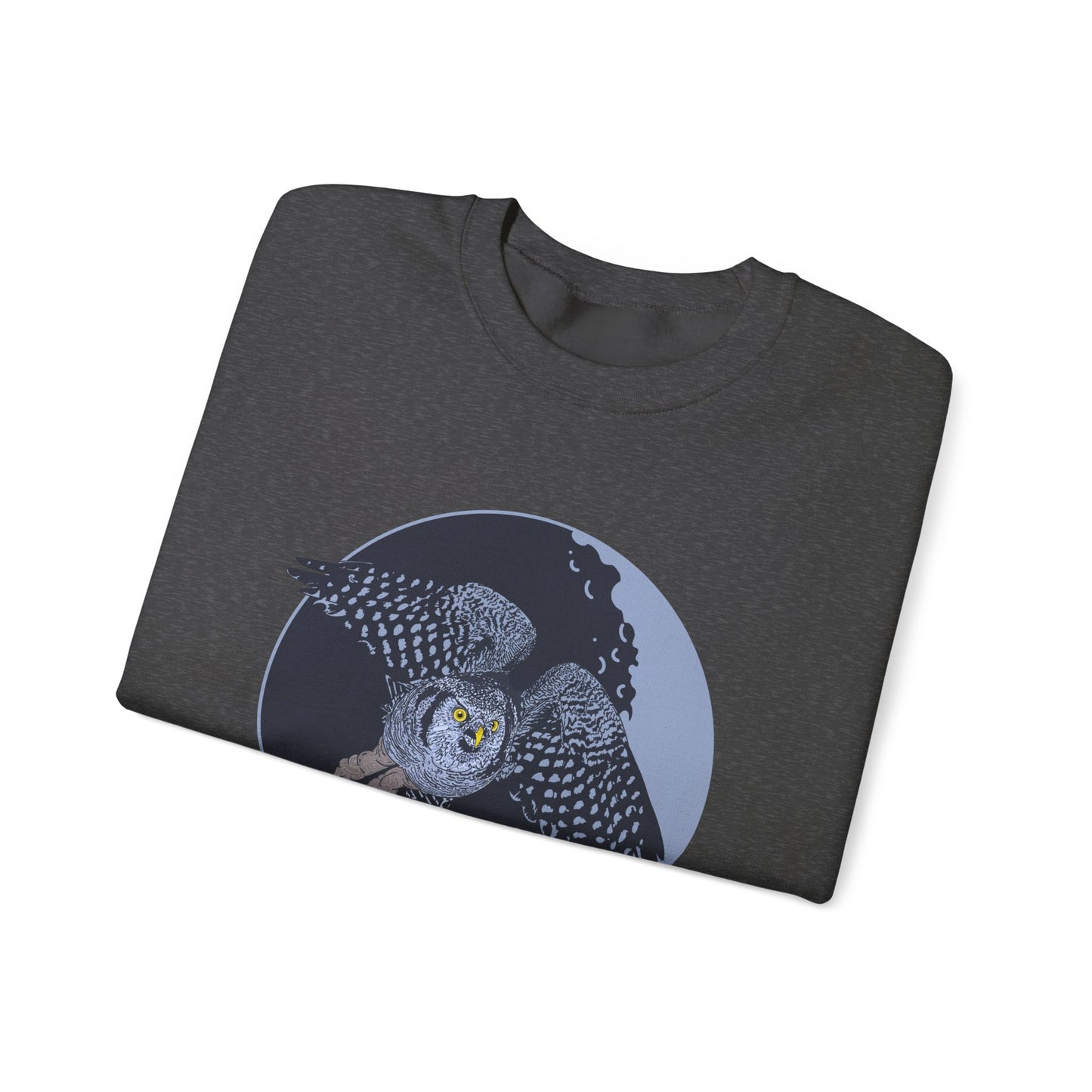 Night Owl Sweatshirt, Unisex Crewneck Sweater,  Gift for Night Owl Nurse, Nightshift worker