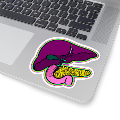 GI System Sticker, Liver, Pancreas, Gallbladder & Intestines