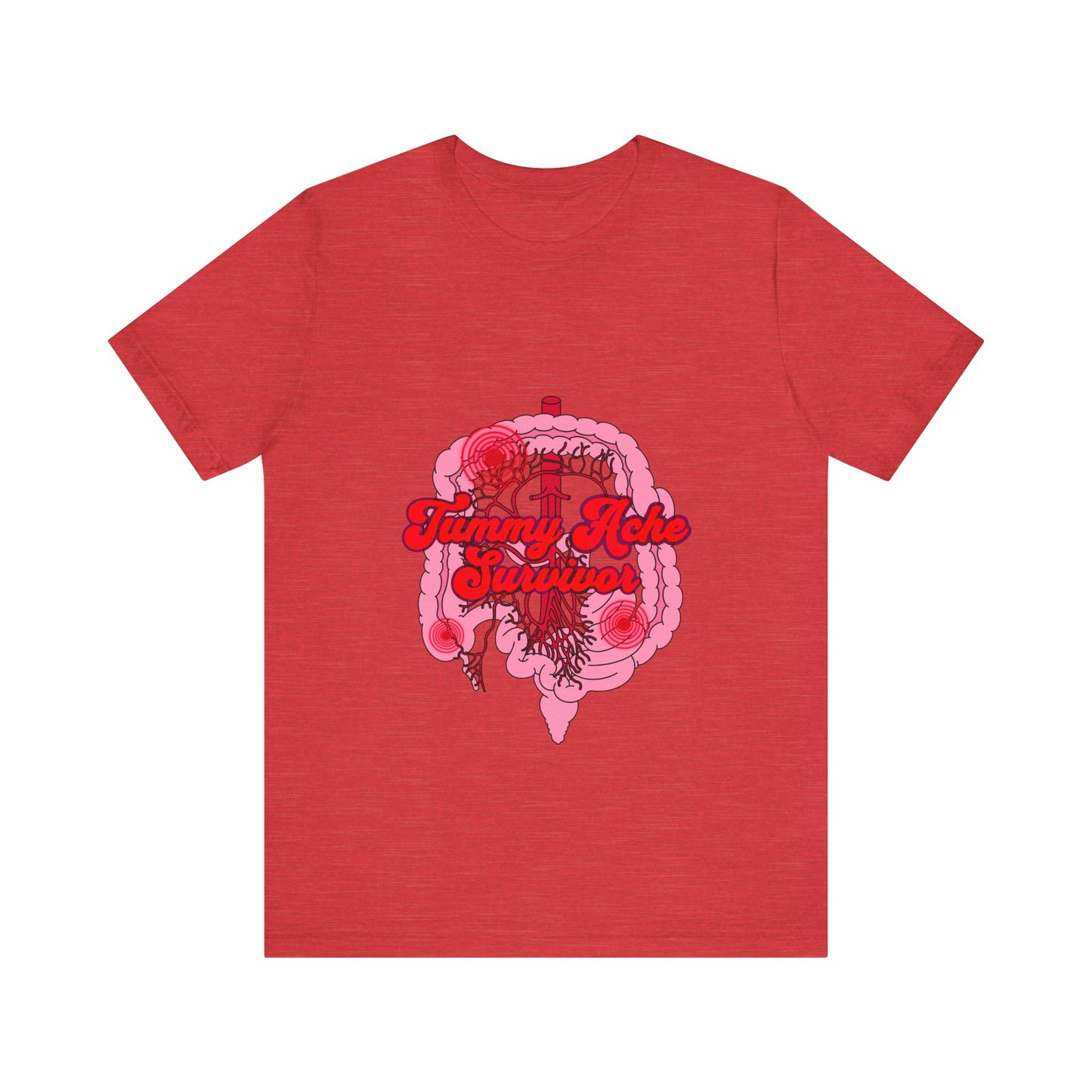 Tummy Ache Survivor Shirt, Funny Gut Health, Digestive System, GI Nurse, Stomach Pain Humor, Medical, IBS, Healthcare Gift Tee