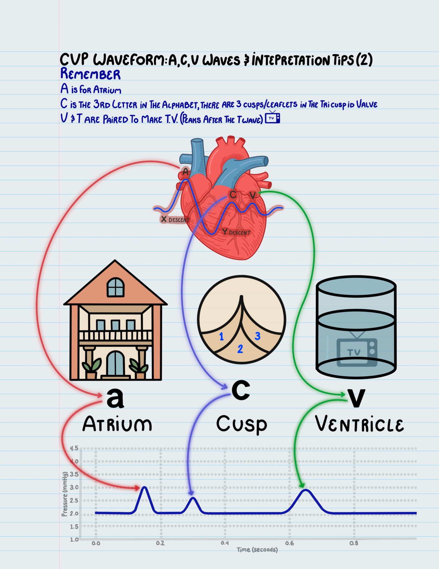 Central Command: Digital Edition (Printable PDF)