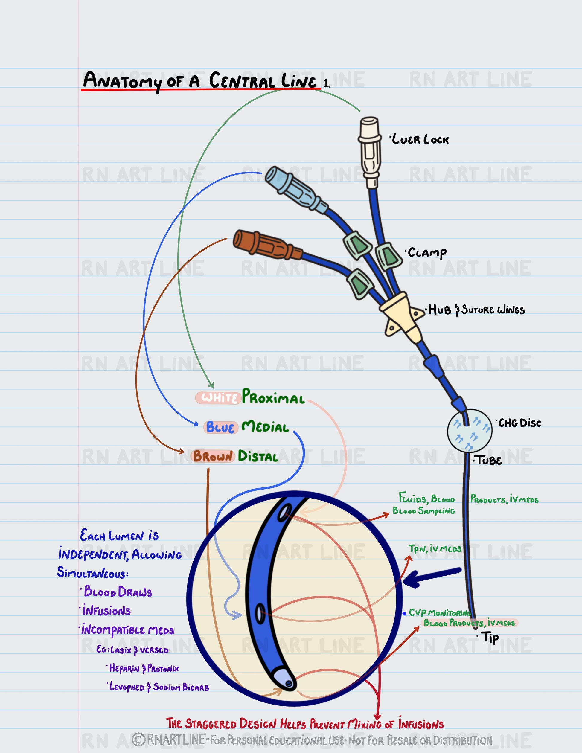 Diagram of a central line with labeled parts on a white background