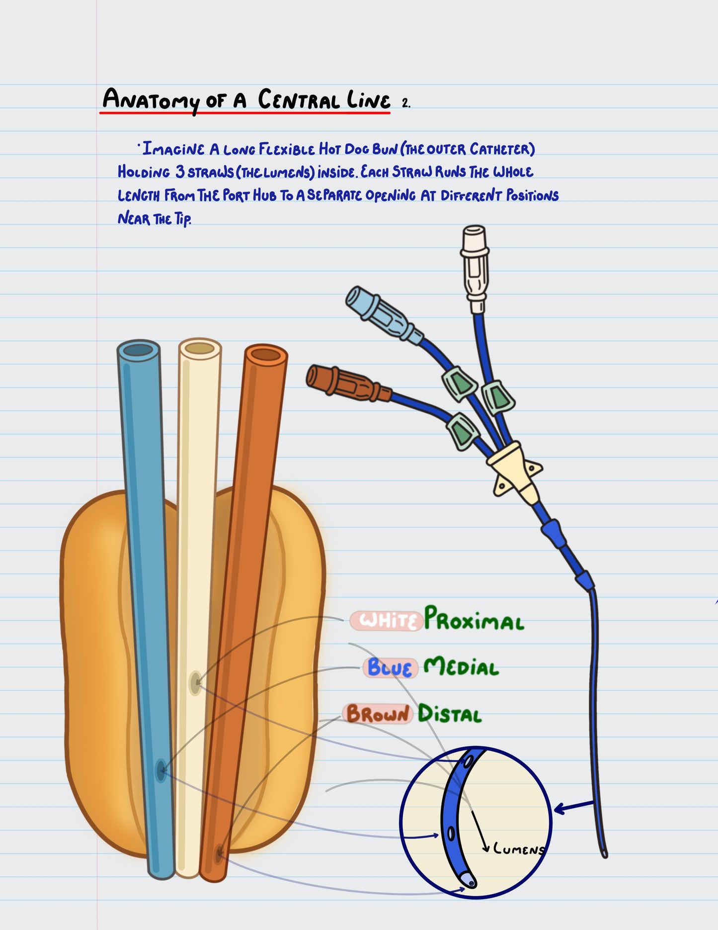 Central Command: Digital Edition (Printable PDF)
