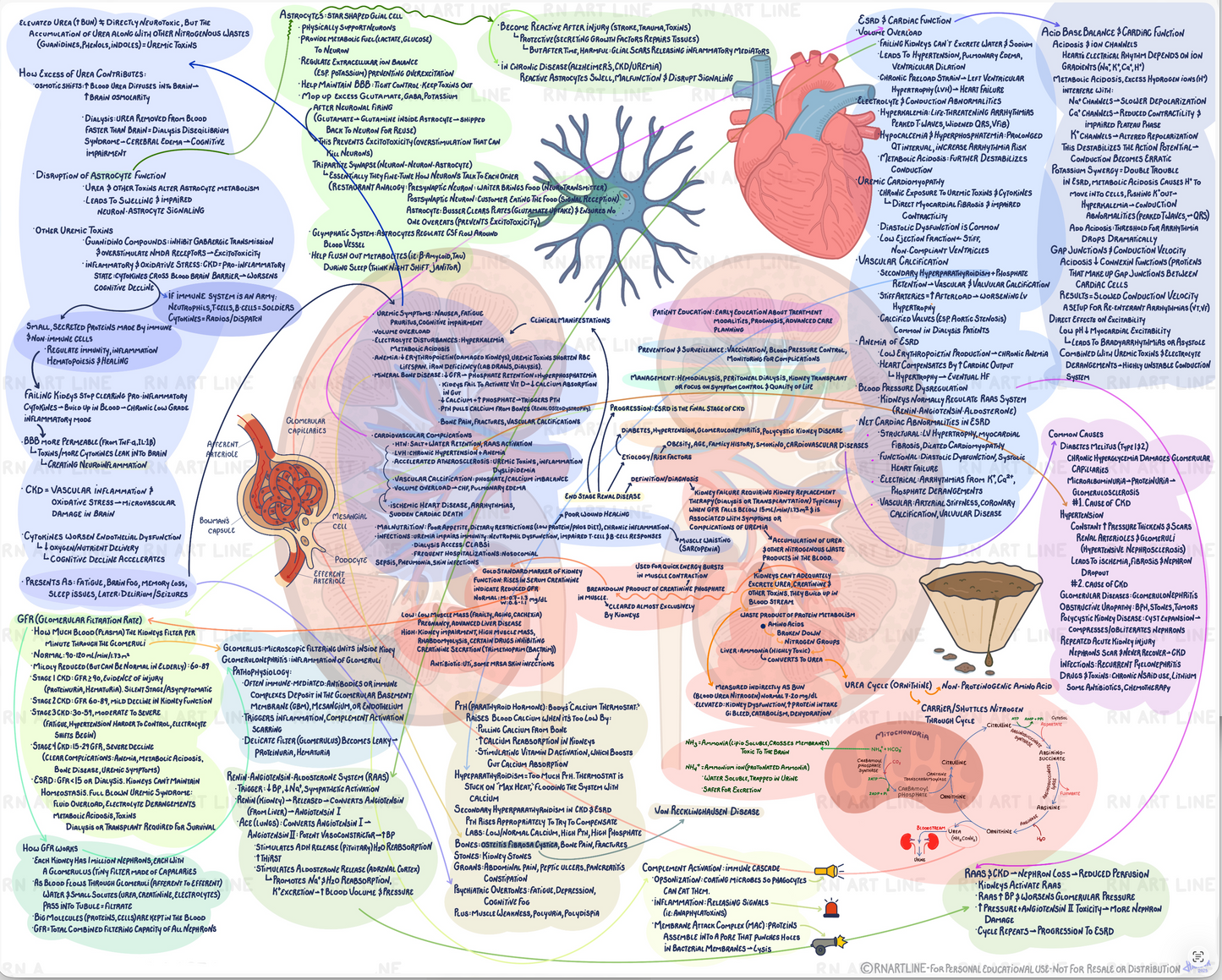 End-Stage Renal Disease Concept Map - Digital Study Edition (Watermarked)