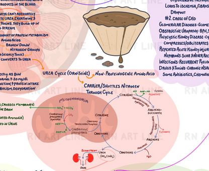 End-Stage Renal Disease Concept Map - Digital Study Edition (Watermarked)