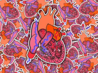 Heart Blood Flow Sticker