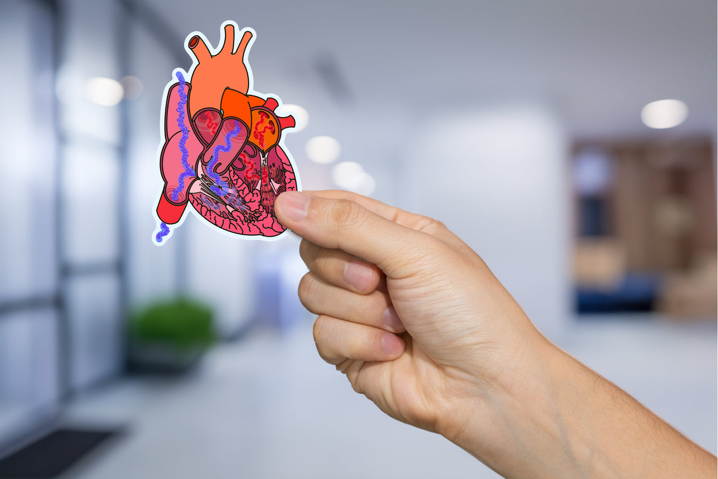 Heart Blood Flow Sticker