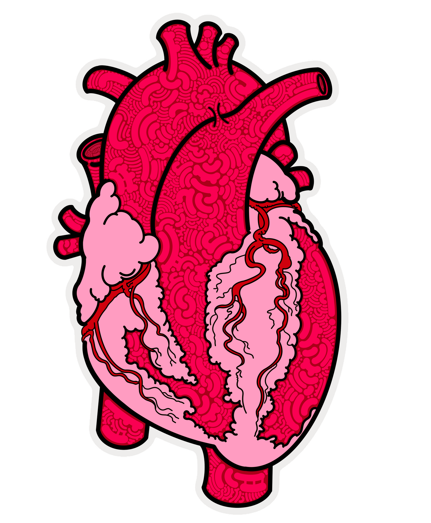 Anatomical Heart Sticker - Perfect for Medical/Nursing Enthusiasts and Art Lovers