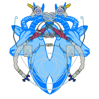 Impala Regalla (Ventricular Support) T-Shirt