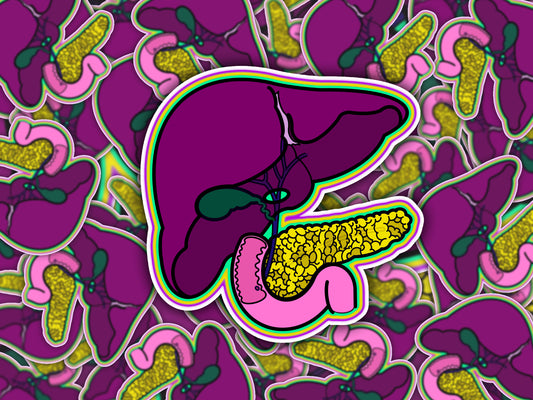 GI System Sticker, Liver, Pancreas, Gallbladder & Intestines