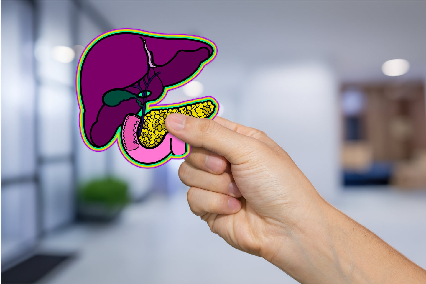 GI System Sticker, Liver, Pancreas, Gallbladder & Intestines