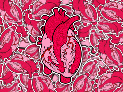 Anatomical Heart Sticker - Perfect for Medical/Nursing Enthusiasts and Art Lovers