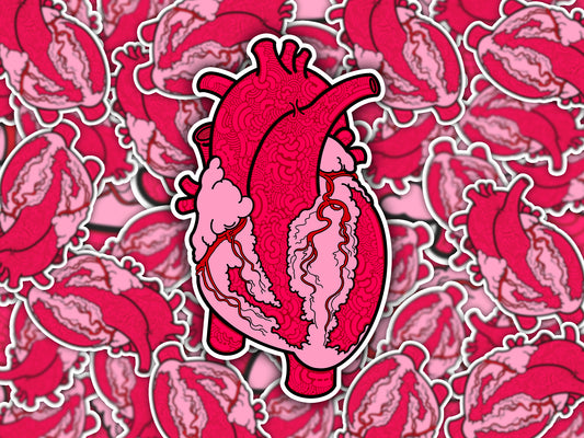 Anatomical Heart Sticker - Perfect for Medical/Nursing Enthusiasts and Art Lovers