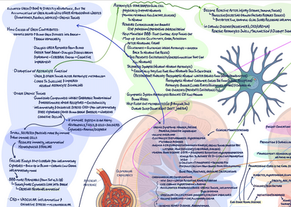 Illustrative Concept Map on End Stage Renal Disease and Chronic Kidney Disease