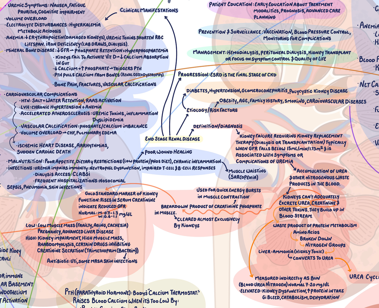 Illustrative Concept Map on End Stage Renal Disease and Chronic Kidney Disease