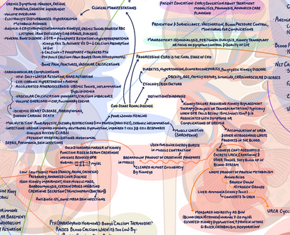 Illustrative Concept Map on End Stage Renal Disease and Chronic Kidney Disease
