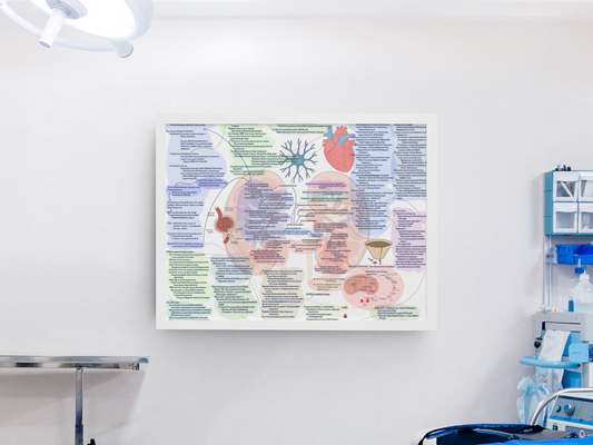 Illustrative Concept Map on End Stage Renal Disease and Chronic Kidney Disease