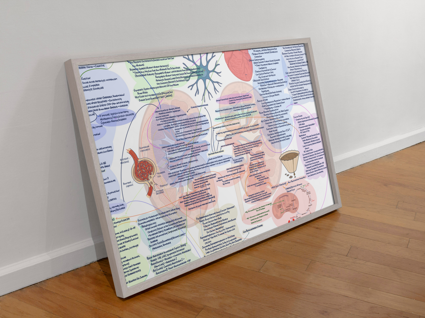 Illustrative Concept Map on End Stage Renal Disease and Chronic Kidney Disease