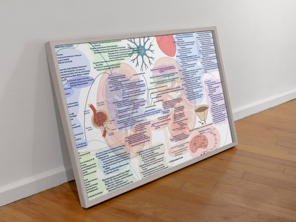 Illustrative Concept Map on End Stage Renal Disease and Chronic Kidney Disease